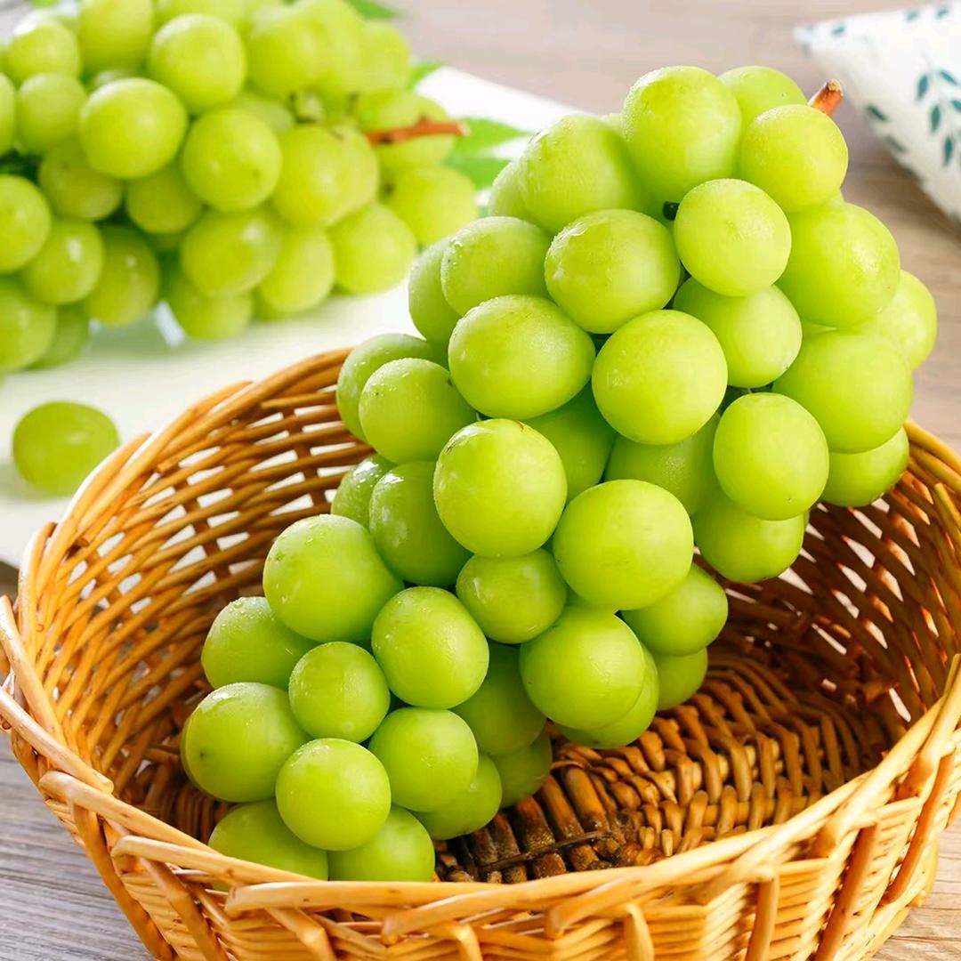 果果小铺生鲜水果冻货批发