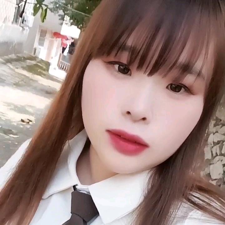 💫愚蠢的猪💫