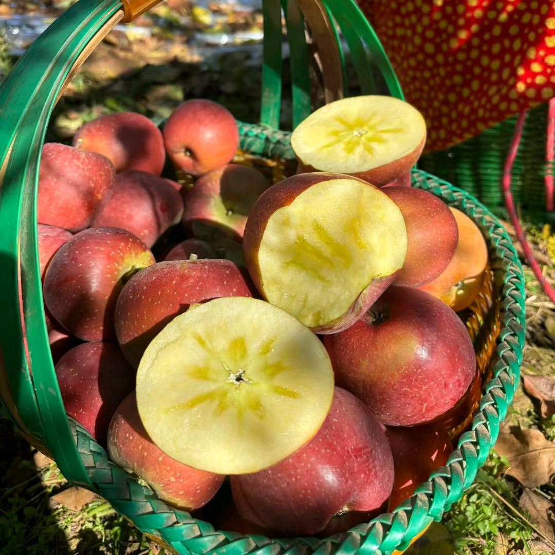 农夫壹号昭通乌天麻，丑苹果