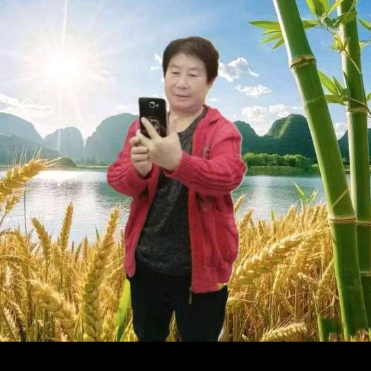 英子牛（下午，15，10分，直播英子牛5