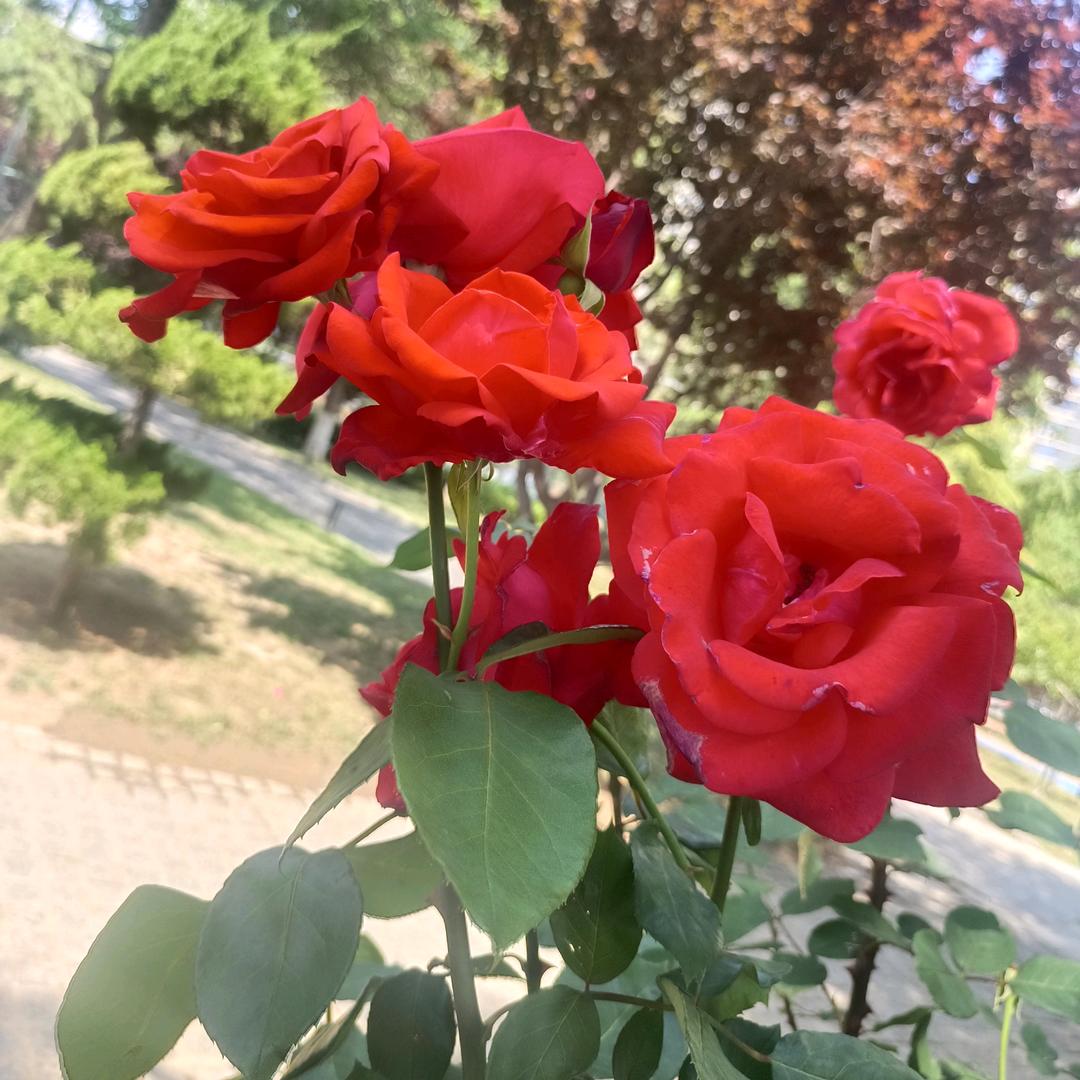 💕ꦿ҉好ᨶ႒ᩚ运ᥫᩣ໌້ᮨ加满✨