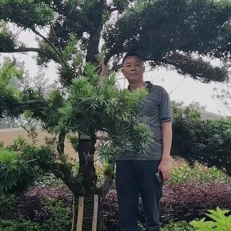 尚益B1一34号哲泰商贸俊杰哥