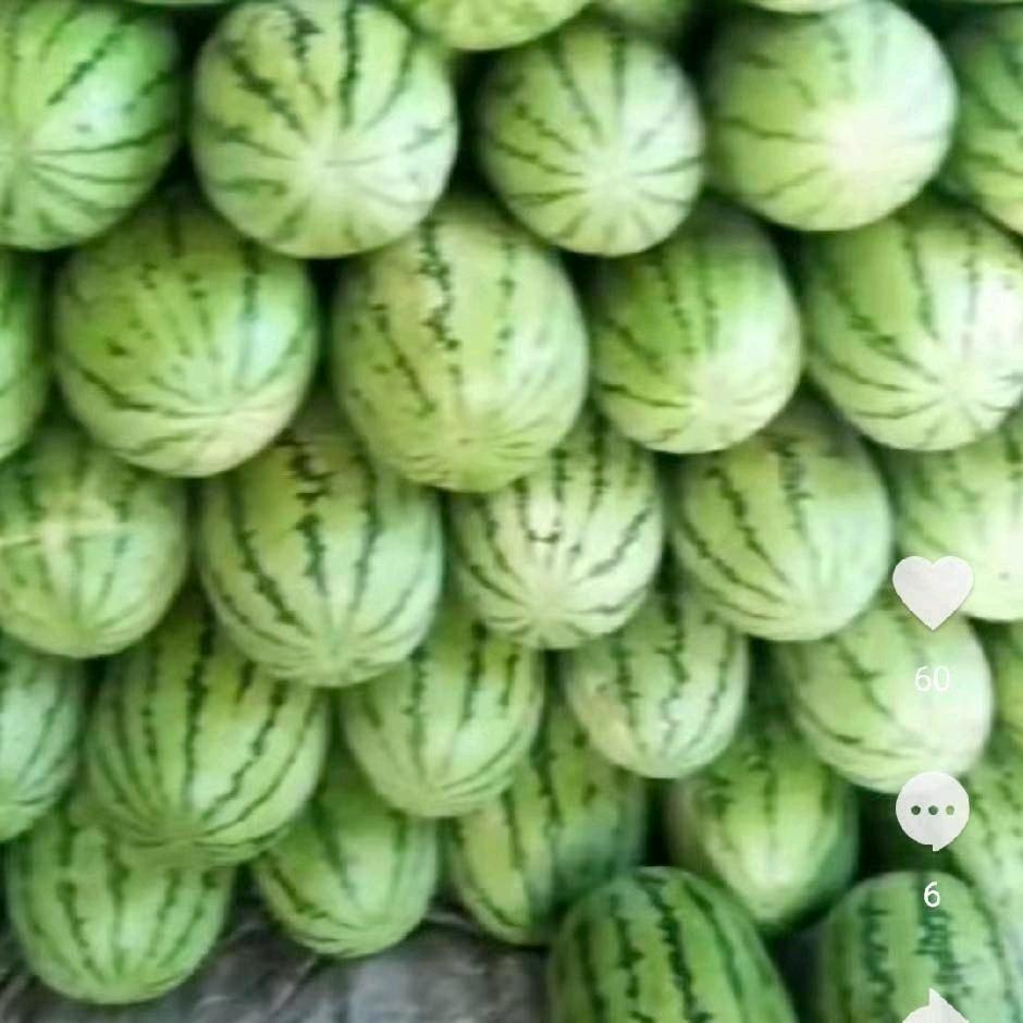 天天有火力
