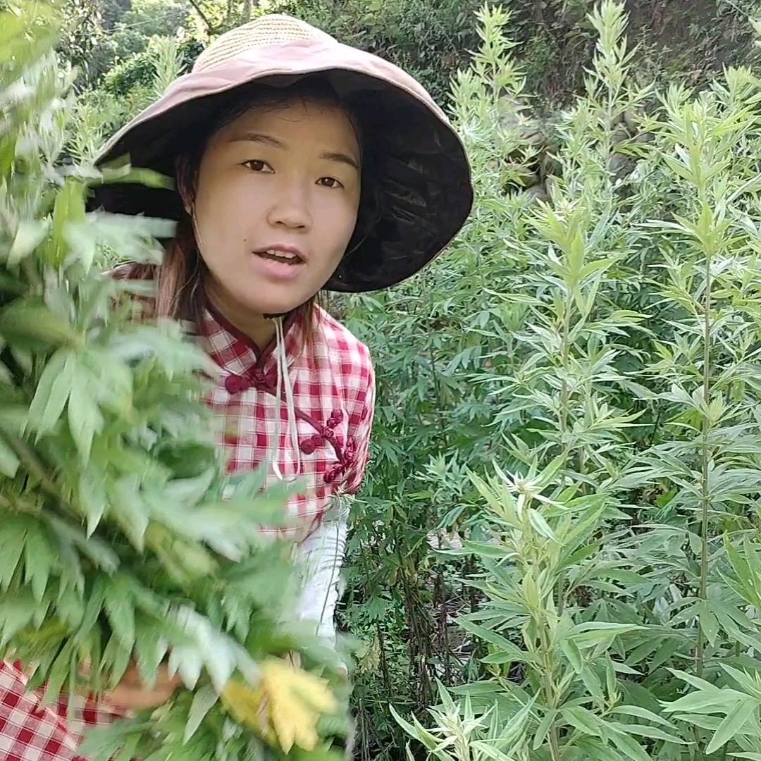 小花生活日常