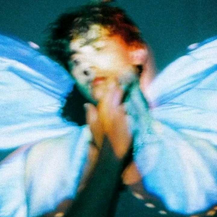 聪明毛毛   ⃒⃘⃤