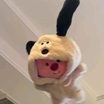 一朵风中摇曳的陈俊生