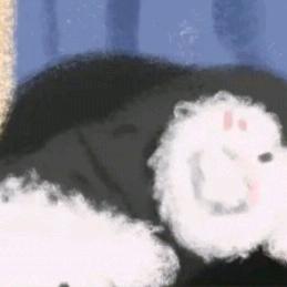 早睡早起身体好