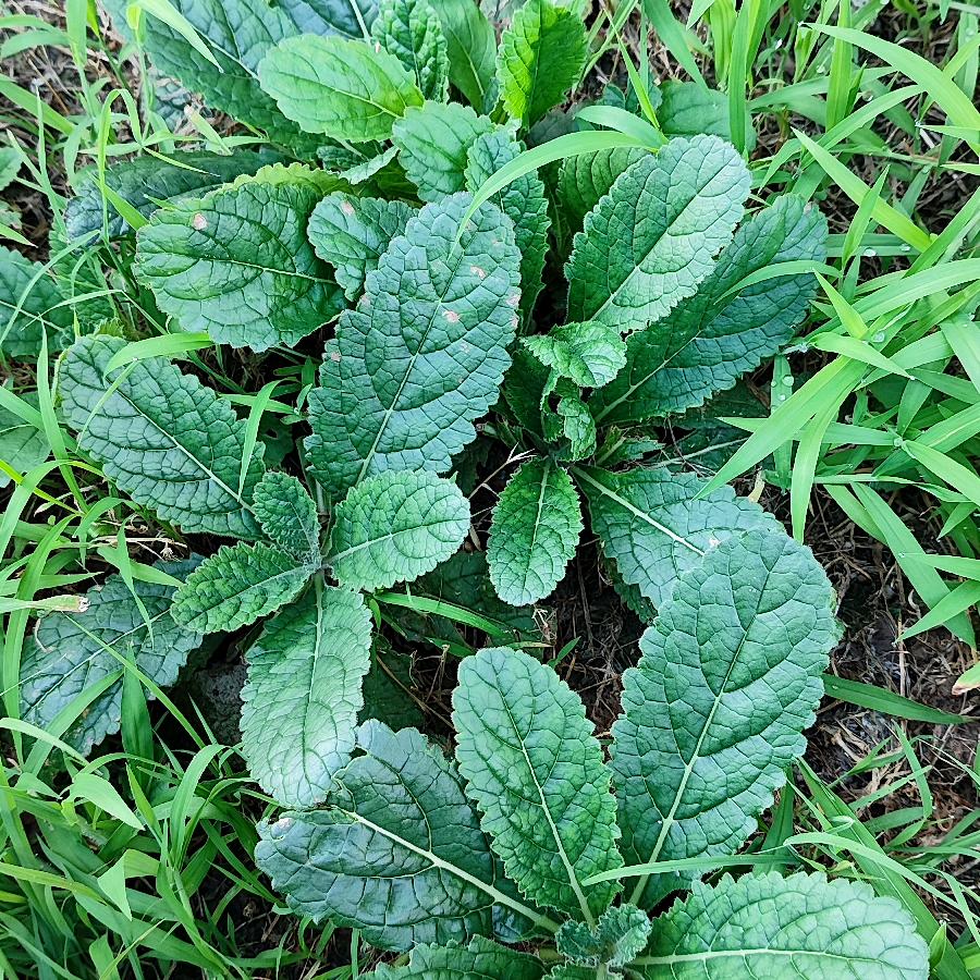 什么都没有空的