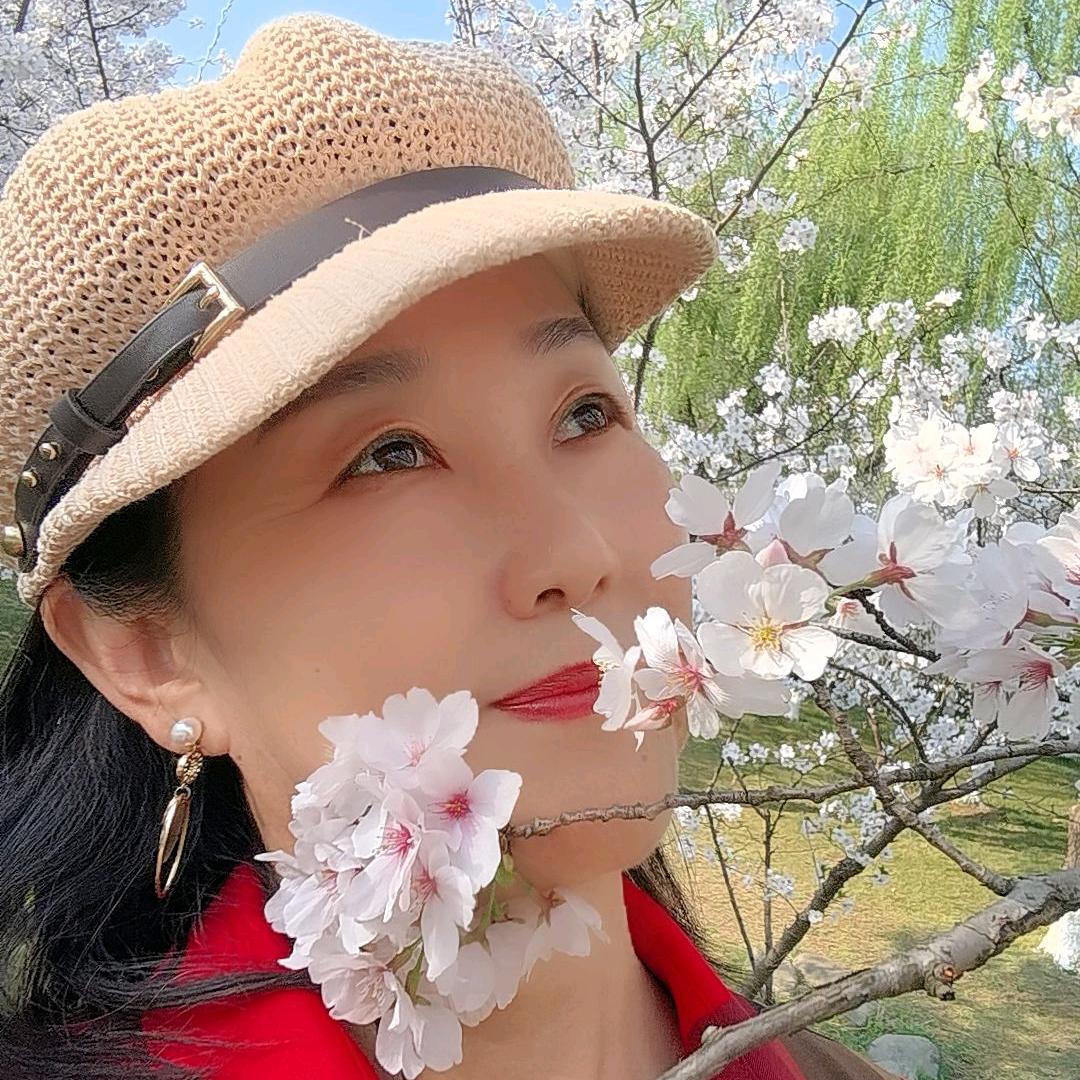 紫蝶花飞
