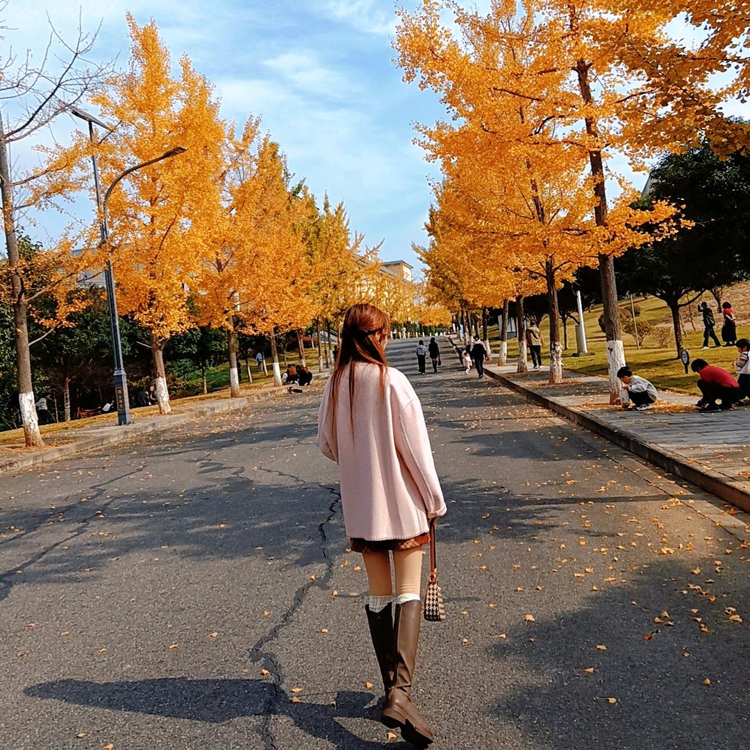 一半醒          👑👑