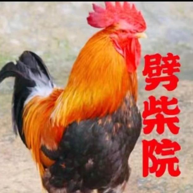 大锅菜