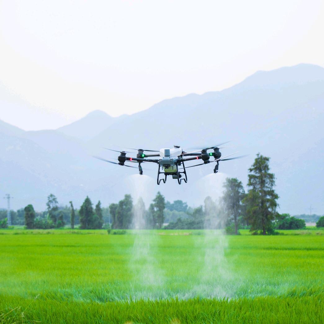 ✈️纸店大疆飞防