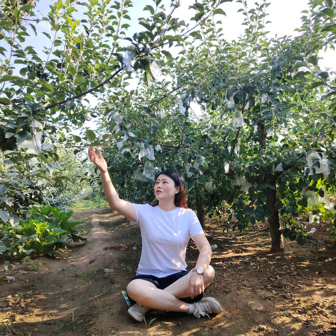 杨小阳