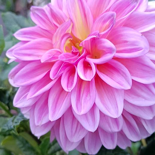 ♧€清风挽心♬