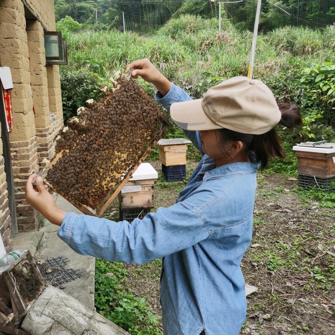 90养蜂妹🐝