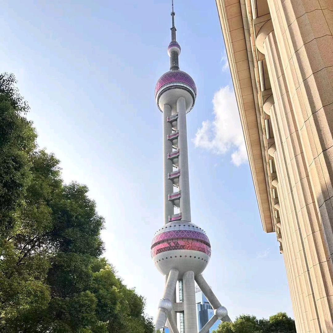 心宝