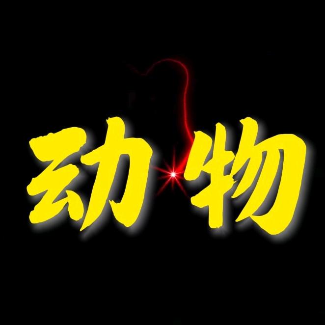 动物