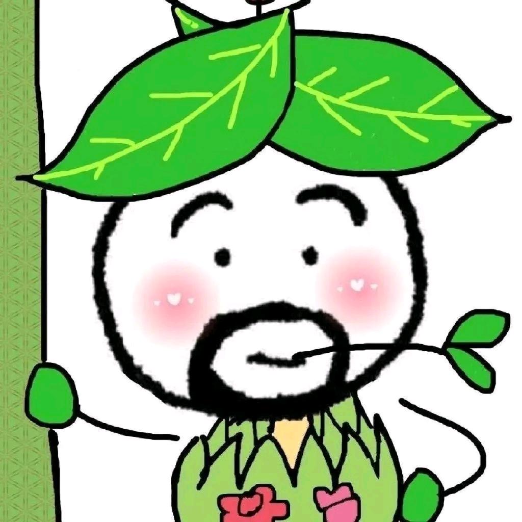 晕车赛车手