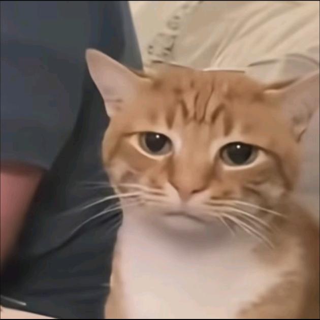 甜菜小孩🦭