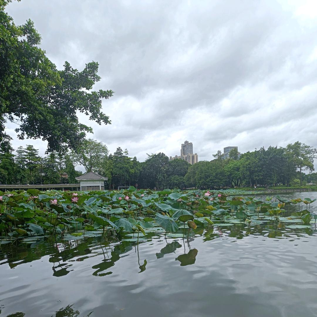 小陈没烦恼