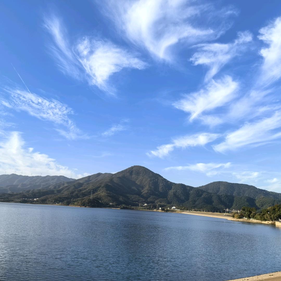 zhangying
