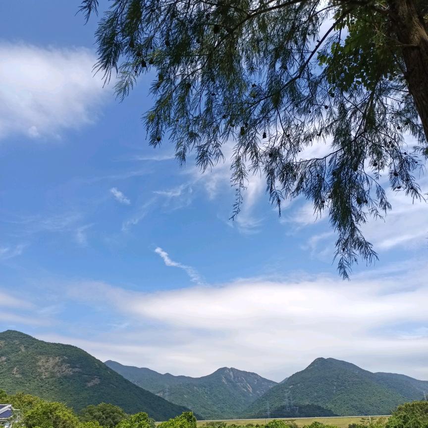 风景如画