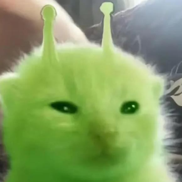 柴🕊️🇵🇸（捂胃弃约）