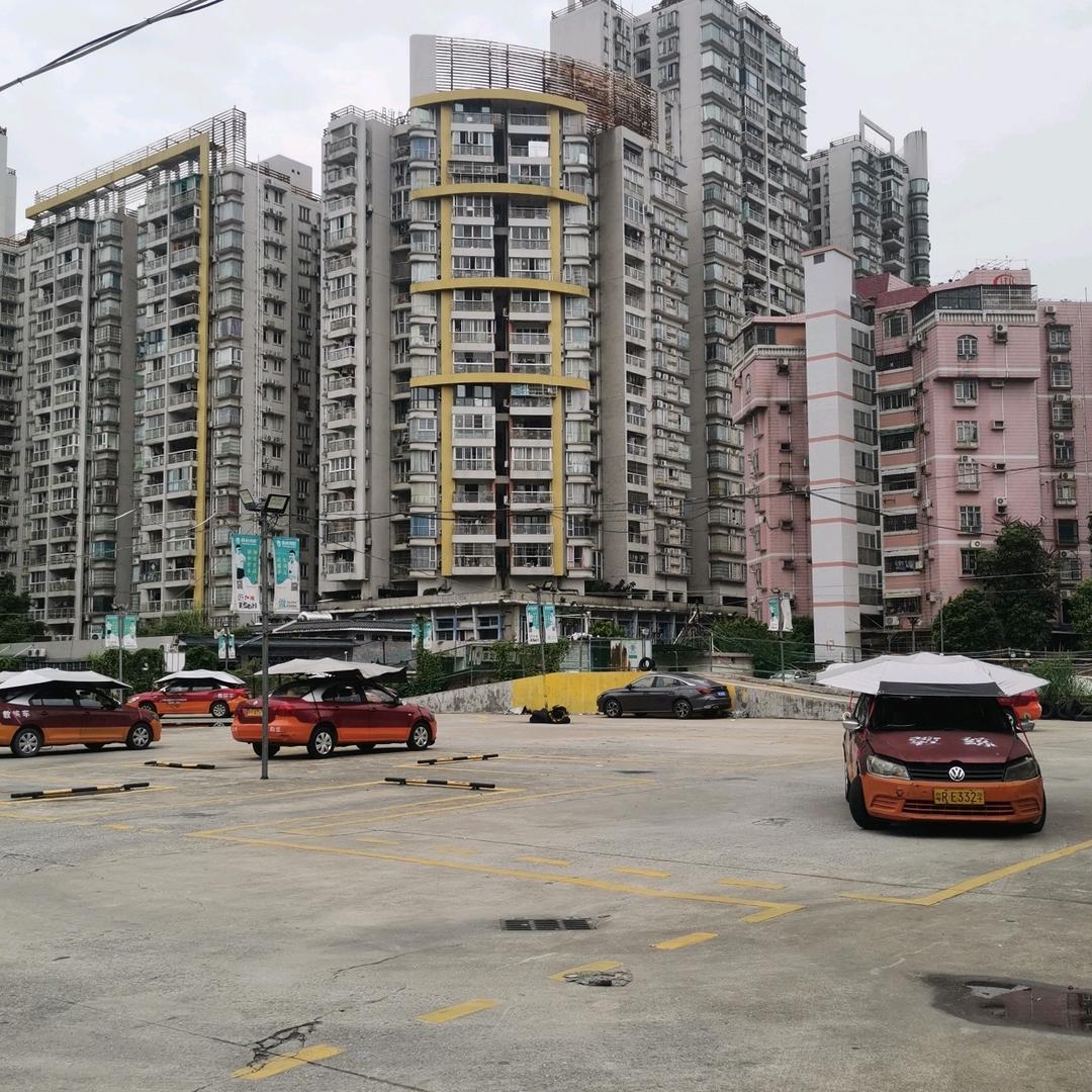 同航驾校京溪分校古教练