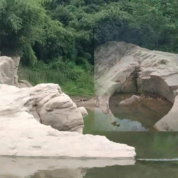 傍山主人