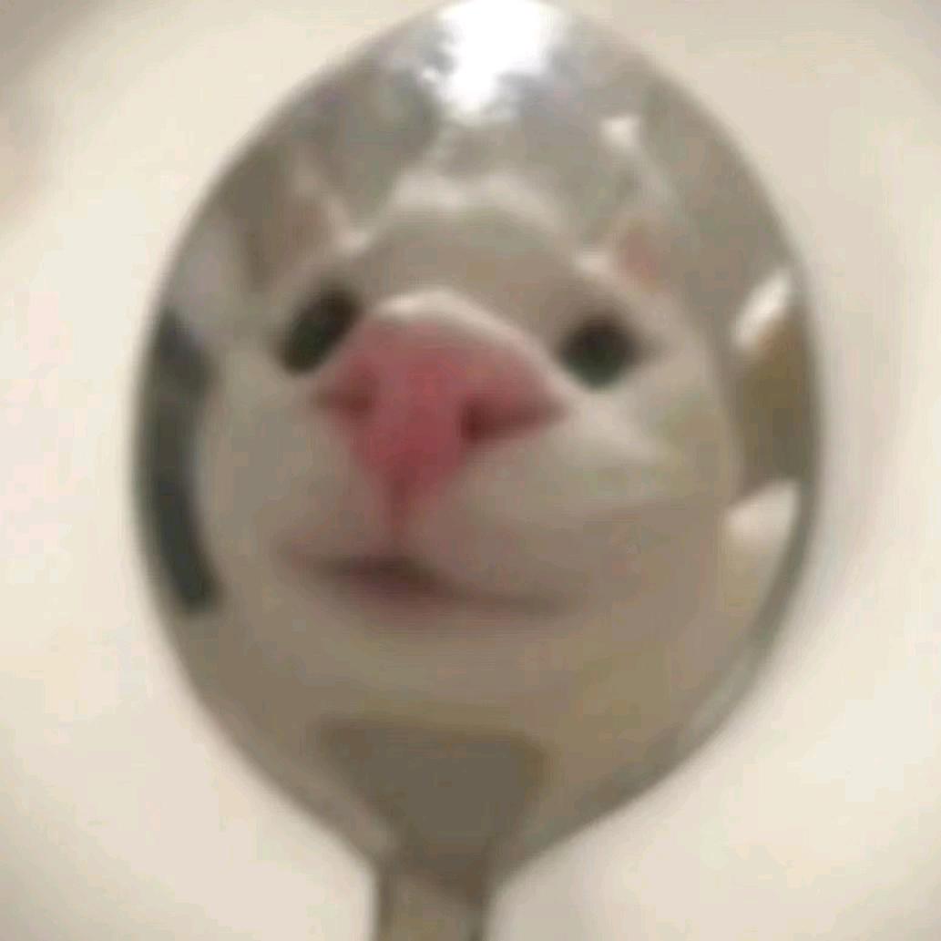 小点