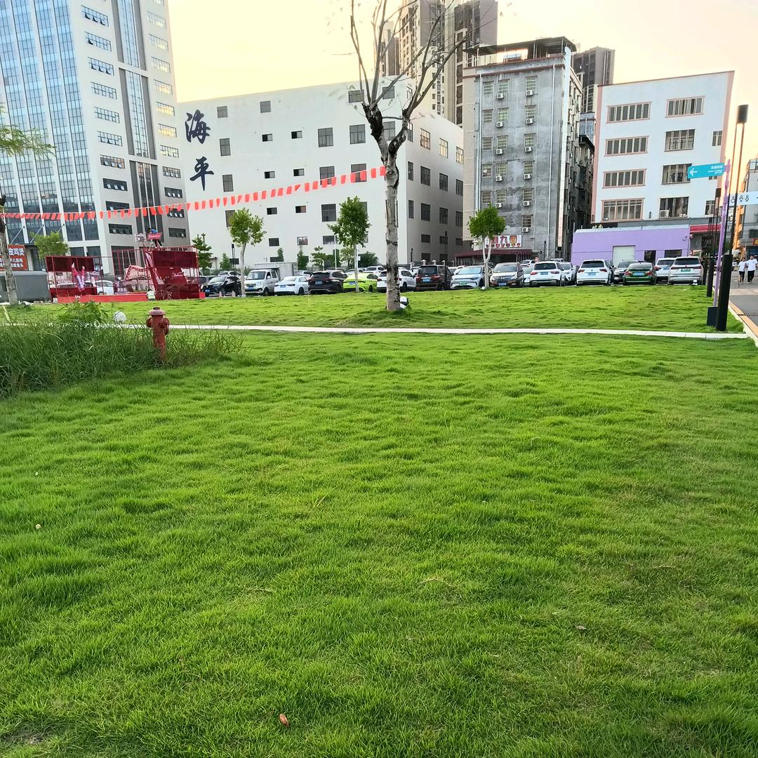 文姐在深圳  中午11点开播