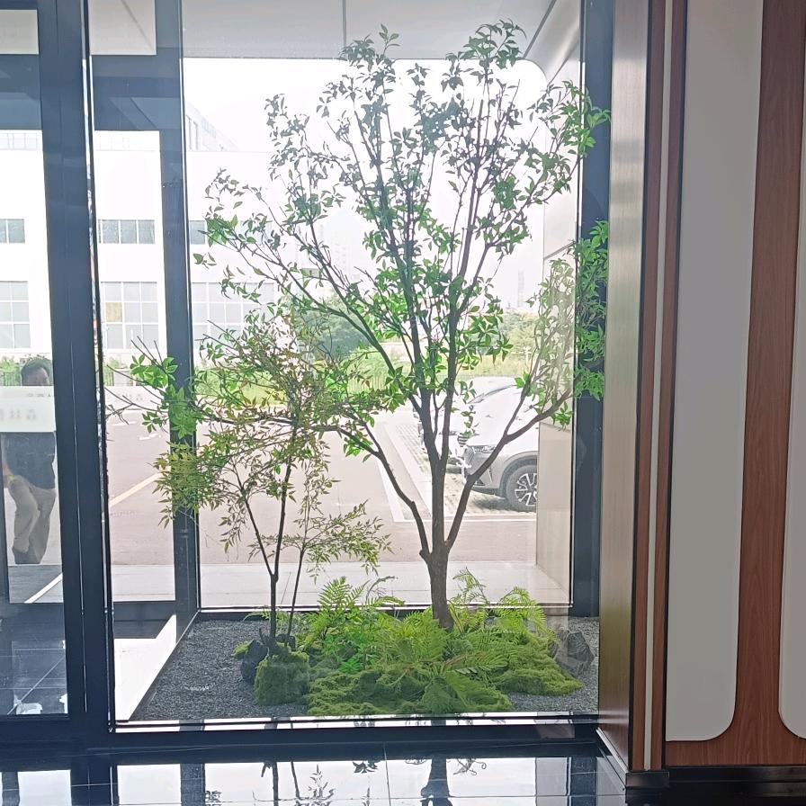 金祈藤茶养生堂