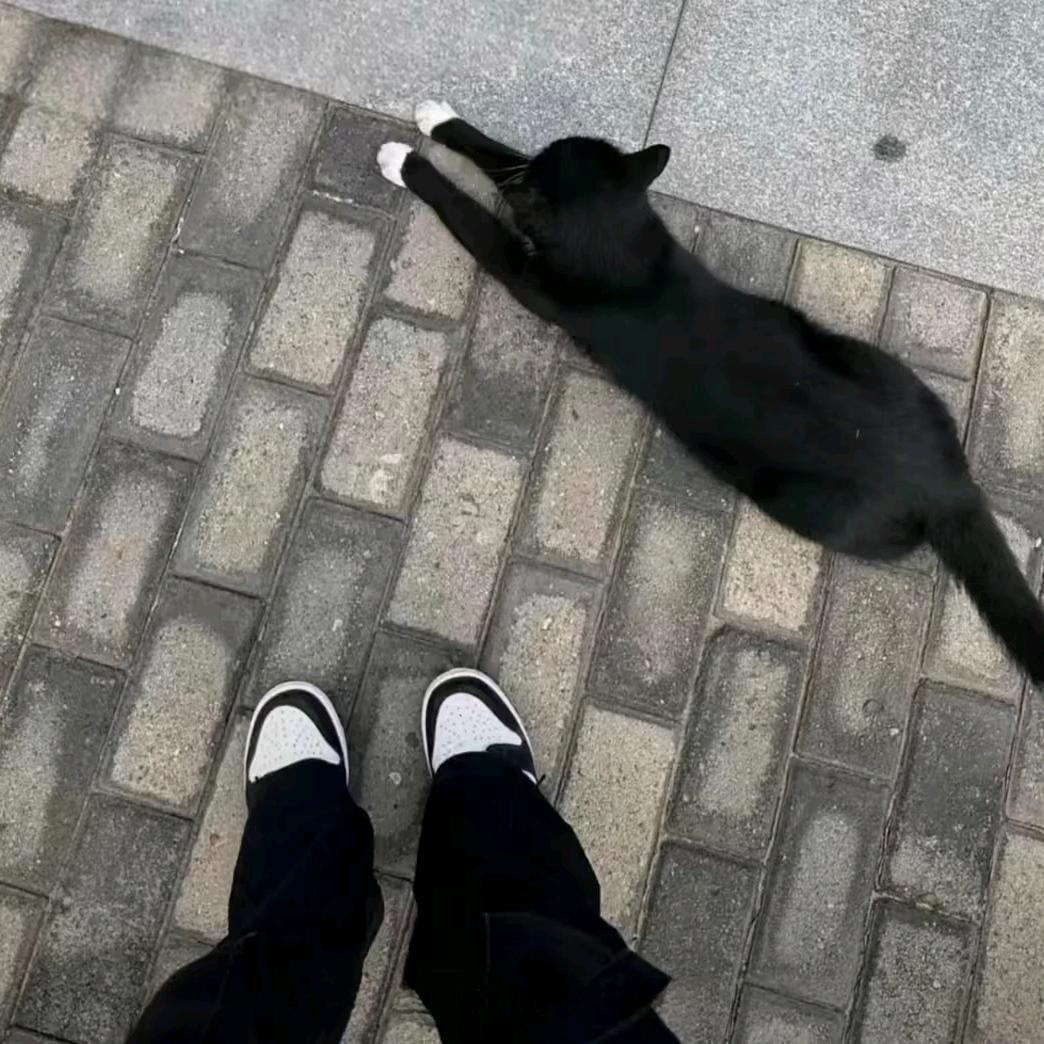 𝙛.