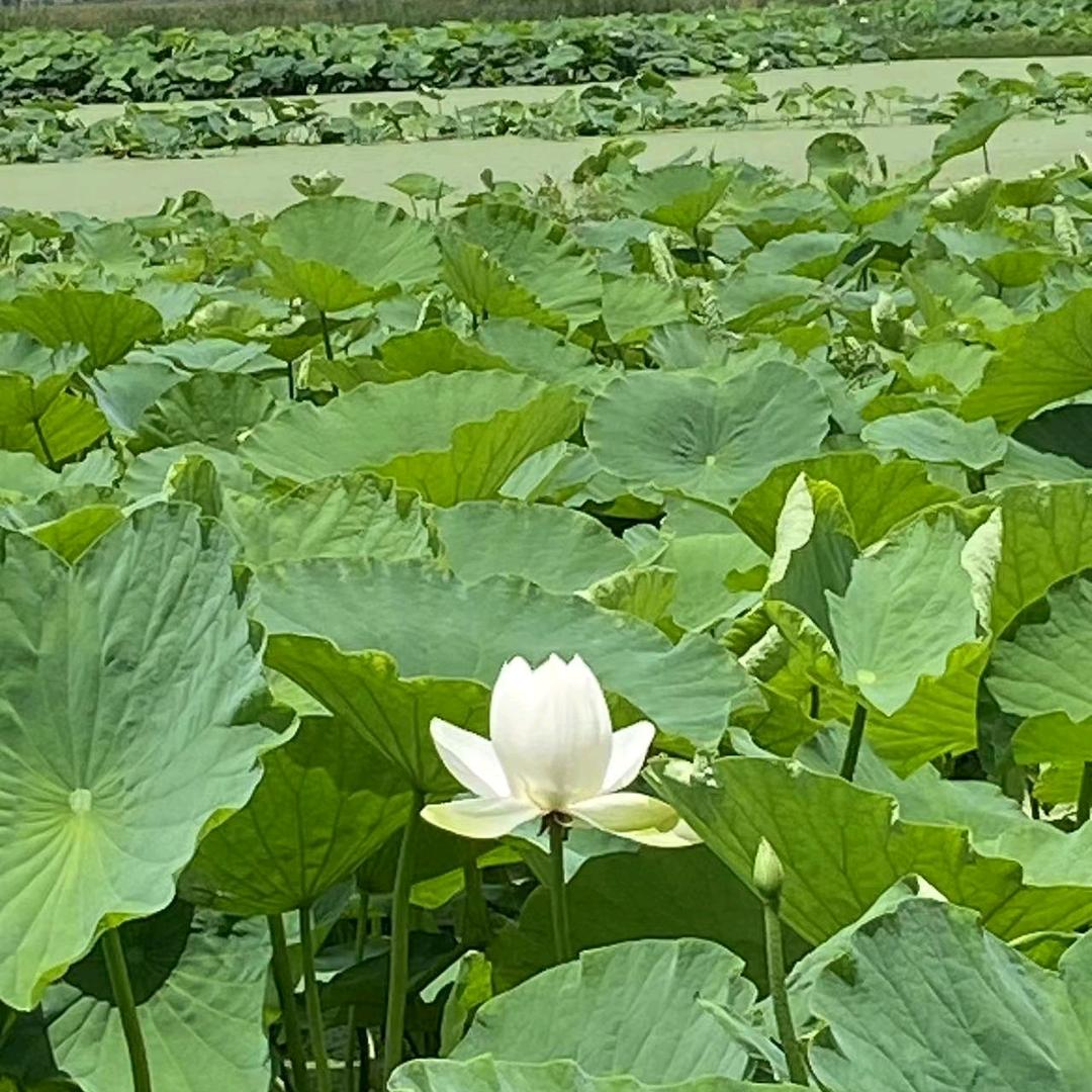 雨过晴天，