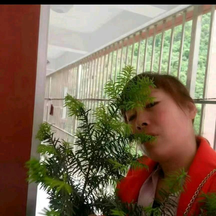 天使姐姐