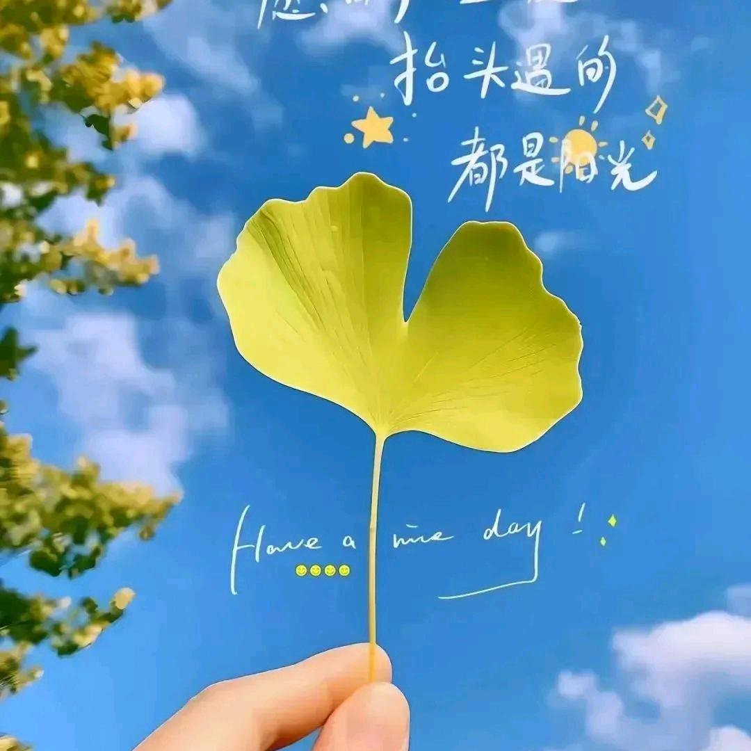 静等花开