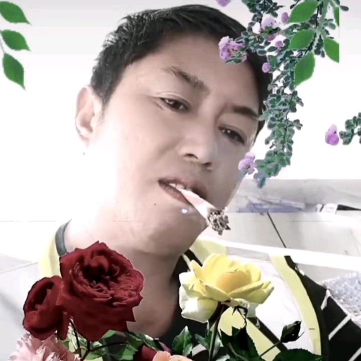 孤独闯天涯🌺🌹🌻