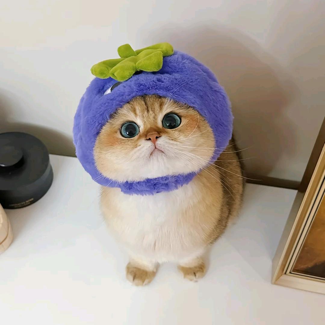 陈朔汐