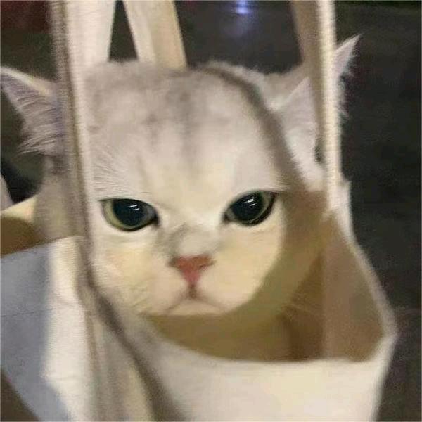 小可