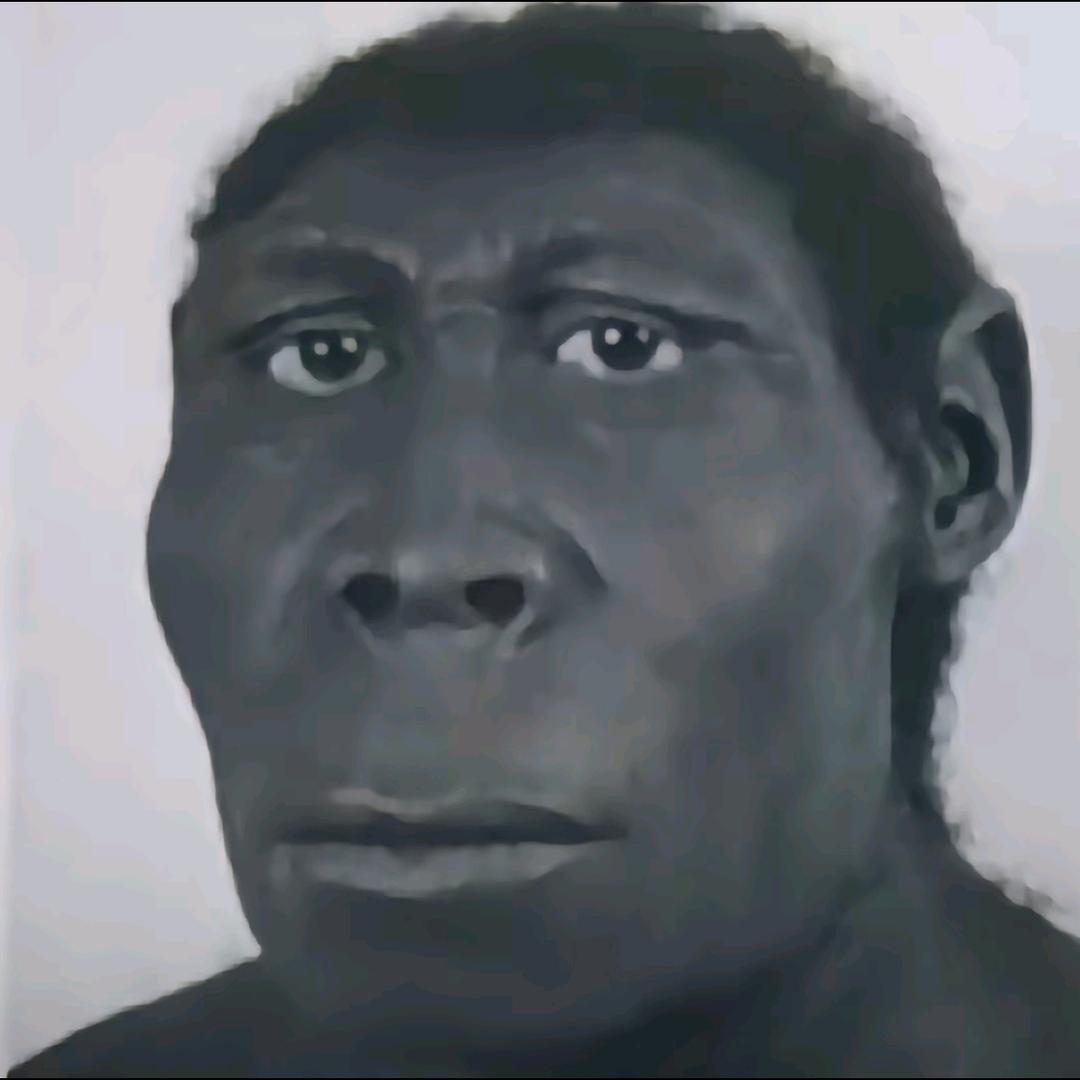 505