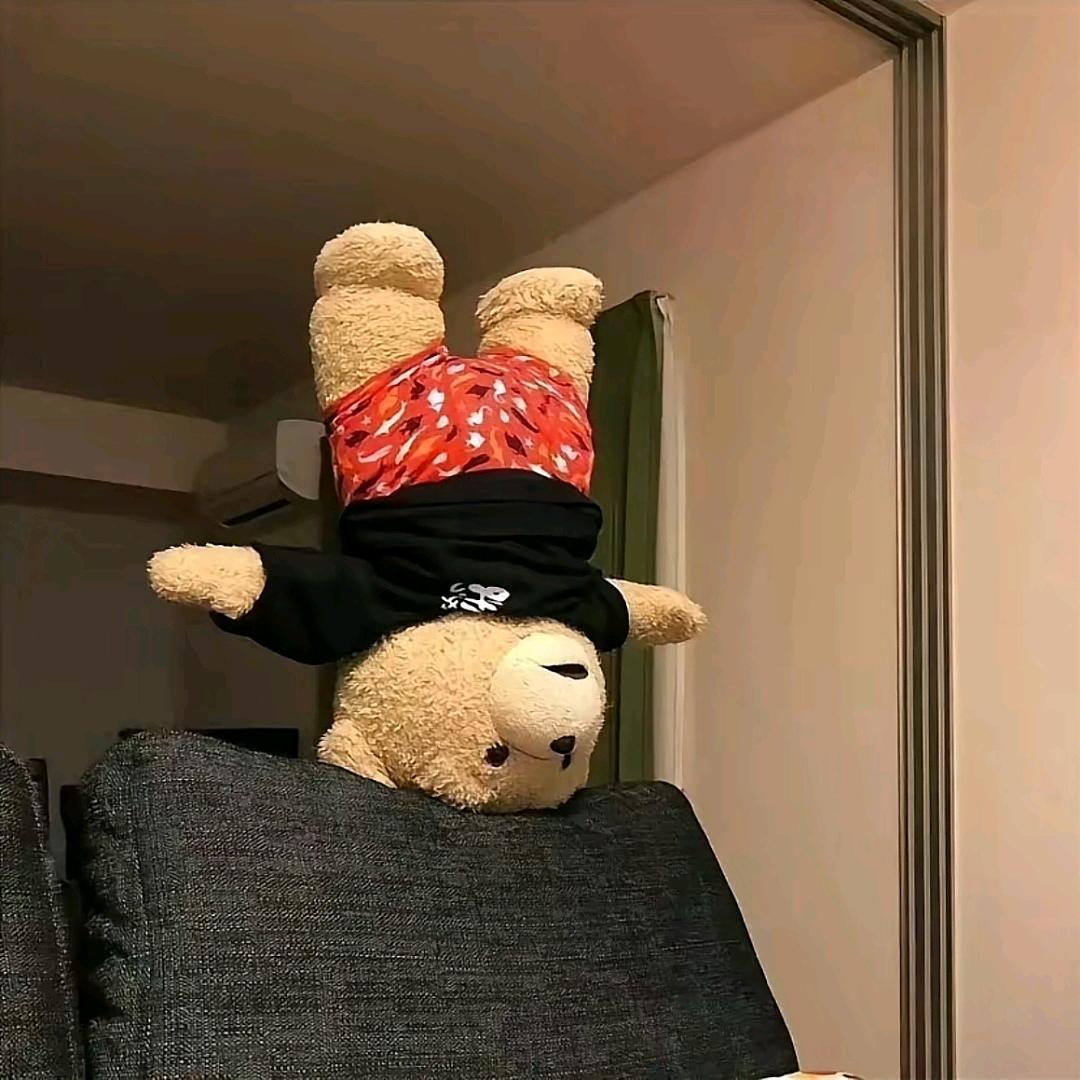 🧸🐻