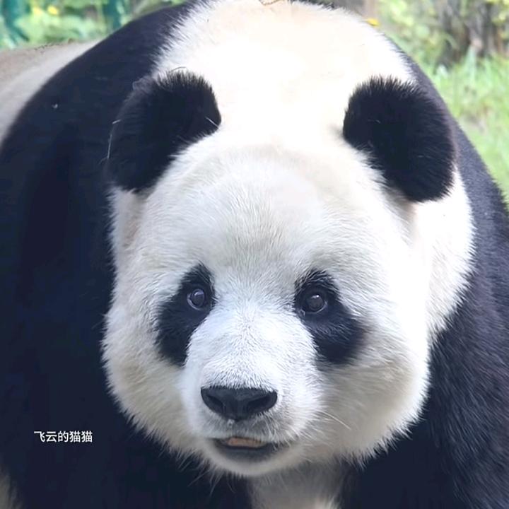 一蓑烟雨_