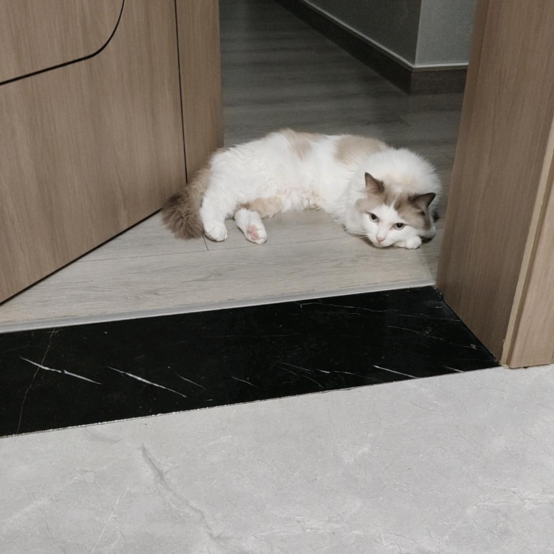 探寻者