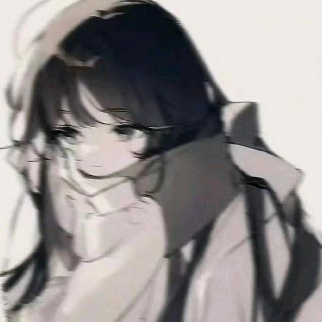 白鸢