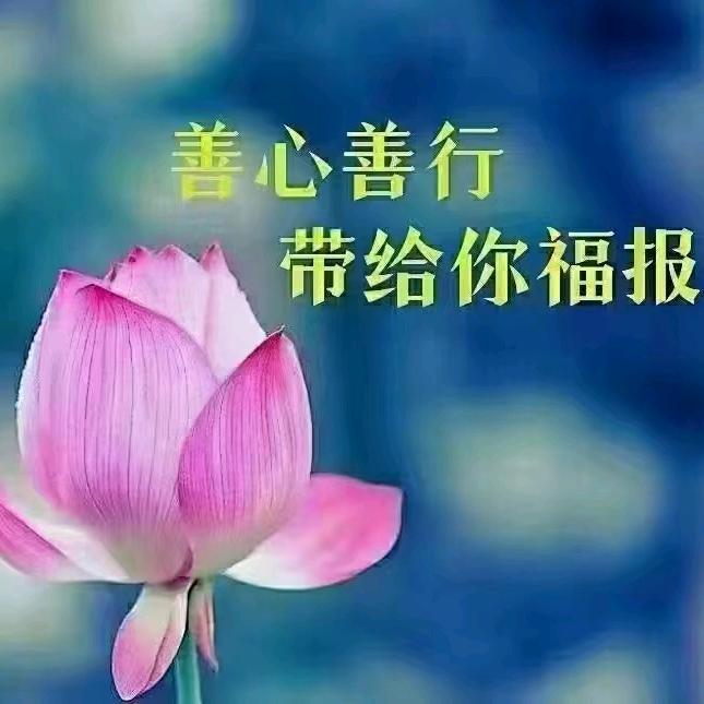 静心515666