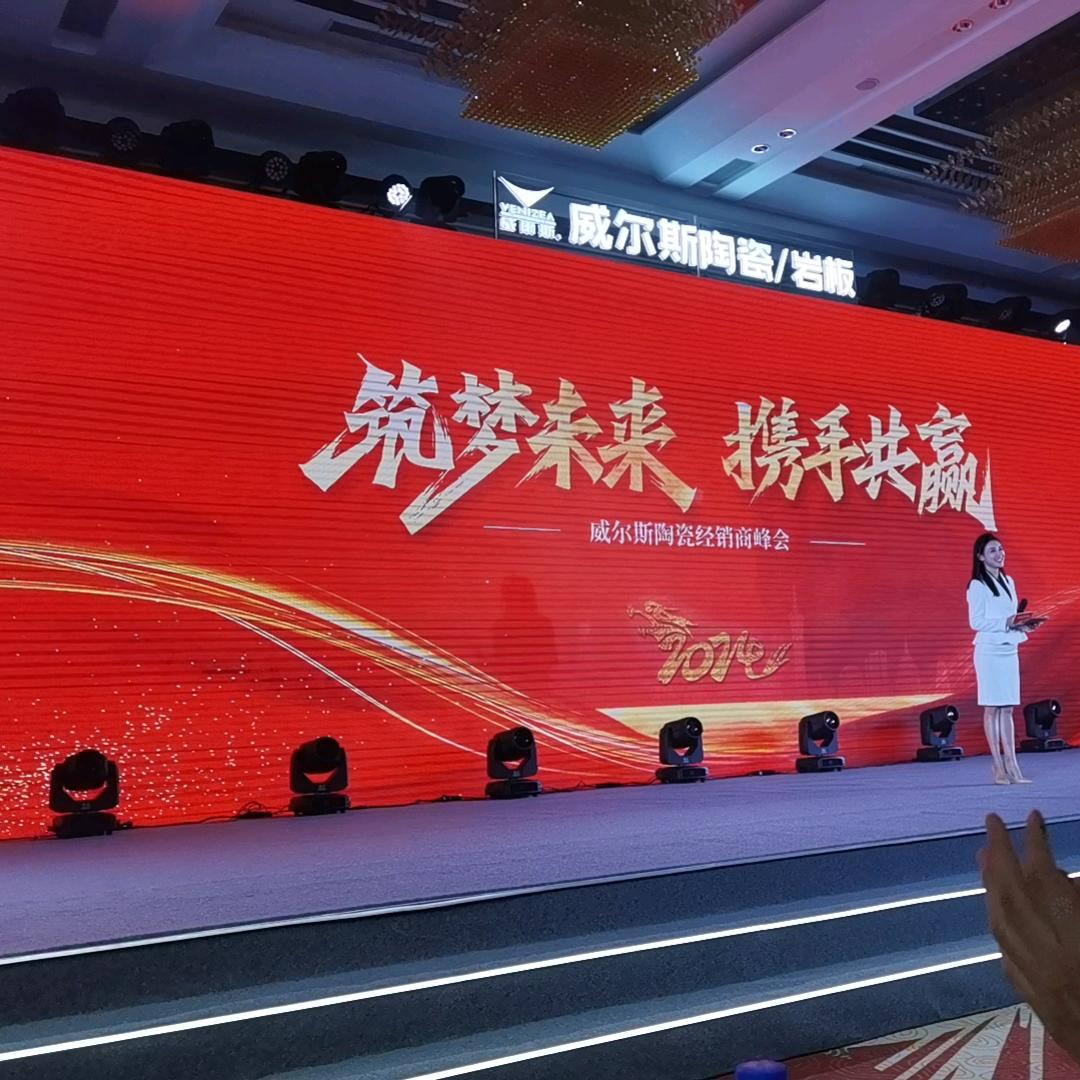 威尔斯岩板陶瓷：海鸥