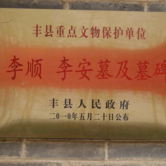 李氏家族