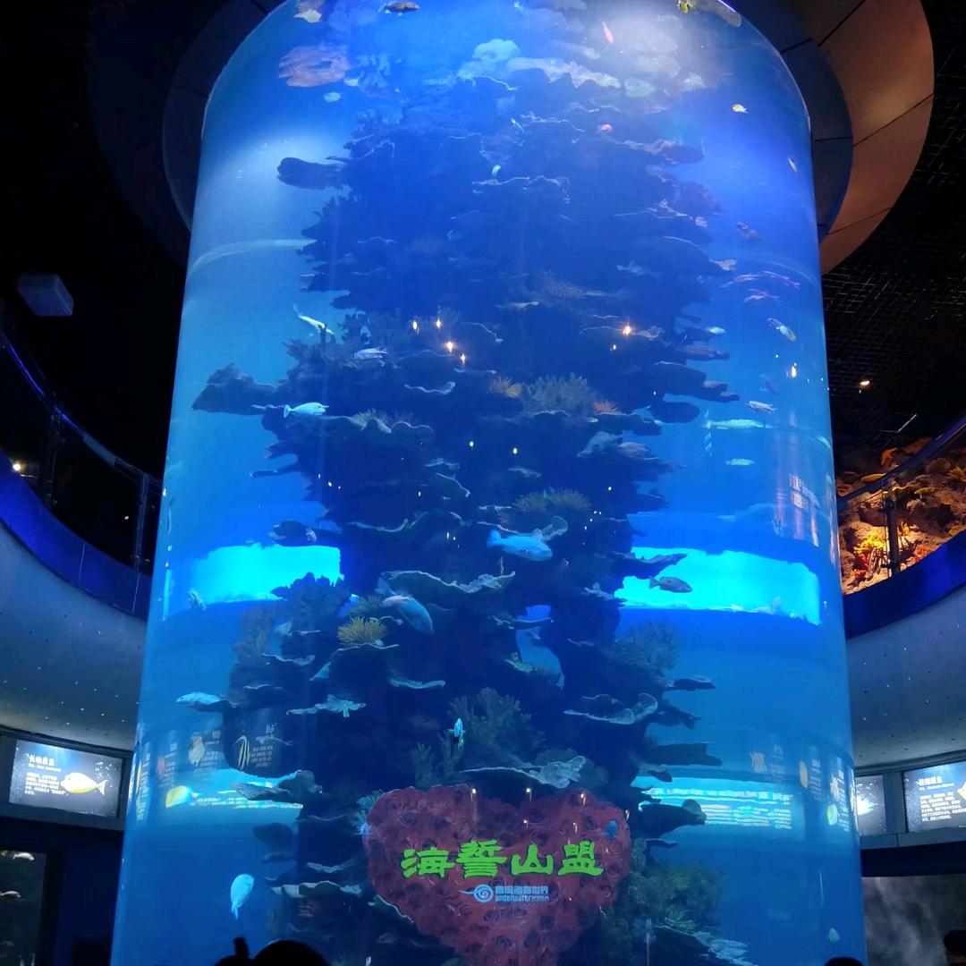 天(ღ˘⌣˘ღ)龙