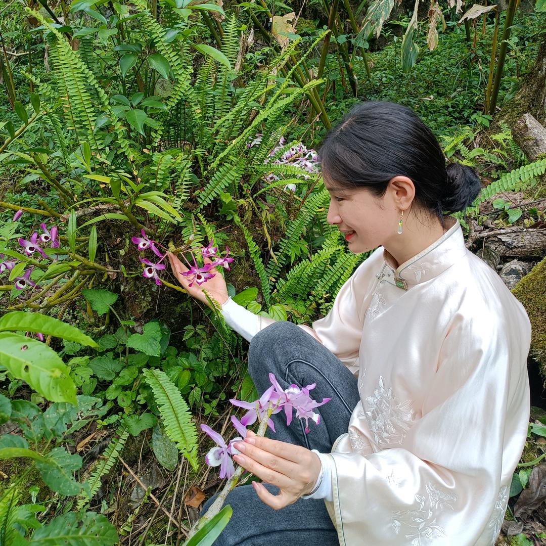 麻栗坡云深居茶仙子