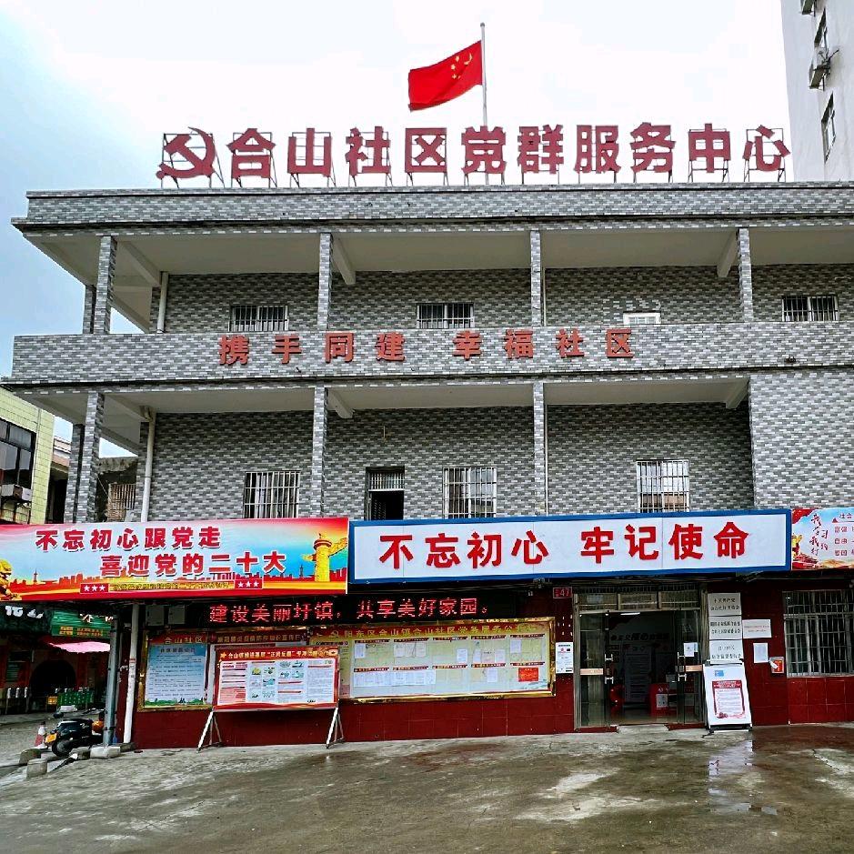 阳江市阳东区合山社区居民委员会